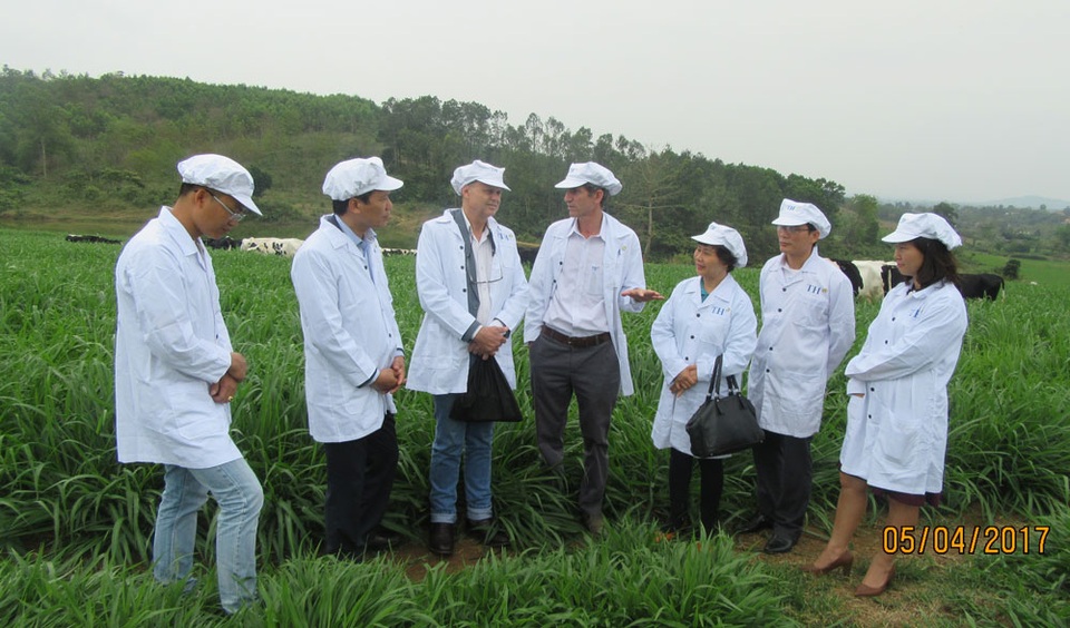 "Chuẩn organic không từ giấy chứng nhận mà từ quy trình thật" - 3
Sau khi đi tham trang trại bò sữa hữu cơ và cánh đồng cỏ ông Andre Leu cùng các chuyên gia đến thăm quan khu thức ăn hữu cơ dành cho bò.