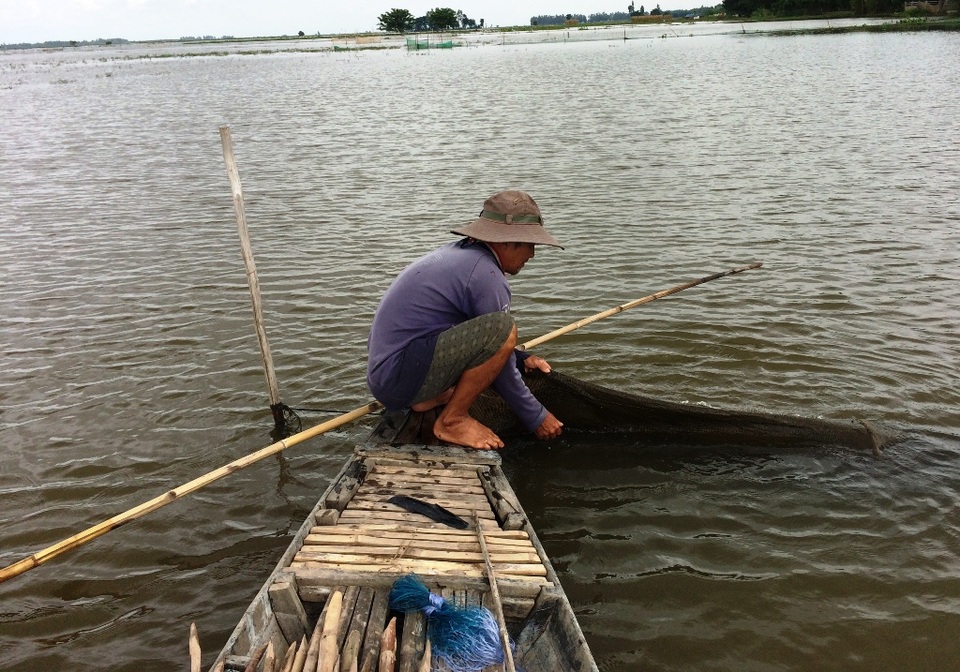 Những nghề ăn theo "mùa nước nổi" hối hả vào mùa “hái” tiền - 1 Năm nay nước về sớm và cao hơn mọi năm, bà con sống nghề câu, lưới... đang sẵn sàng ra khơi đánh bắt thủy sản sau nhiều năm nước cạn...
