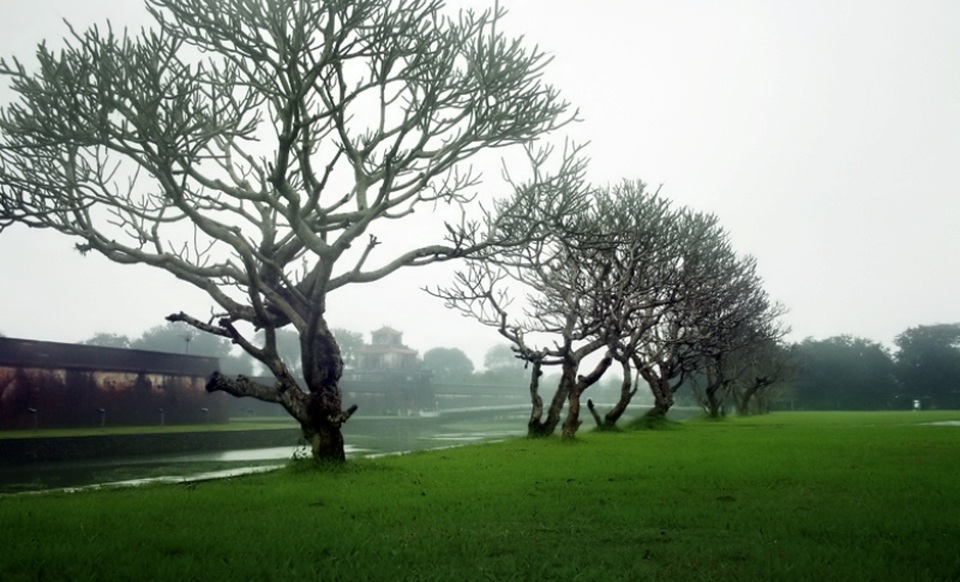 5 thành phố vẫn đẹp cả trong mưa - 2