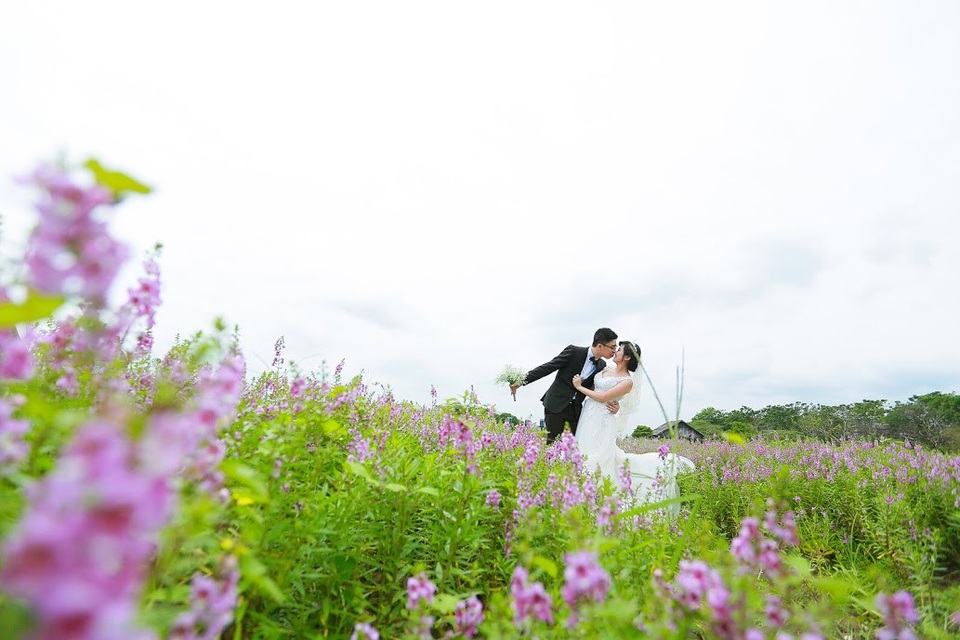 Giới trẻ “phát cuồng” với thảo nguyên hoa giữa lòng Hà Nội - 12 Giới trẻ “phát cuồng” với thảo nguyên hoa giữa lòng Hà Nội - 12