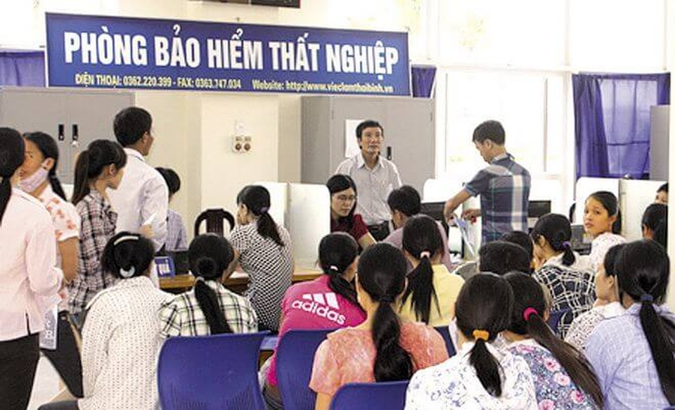 Thất nghiệp dài hạn: Hơn 250.000 người khó quay lại thị trường lao động? - 1
Ảnh: TL