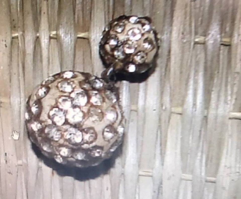 Chiếc bông tai trên tai phải của nạn nhân.