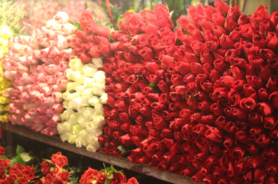 Hà Nội: Hoa tươi tăng giá vẫn hút khách dịp 8/3 - 2
Hoa hồng vẫn là loại được ưa chuộng nhất và các cửa hàng nhập về nhiều dịp này