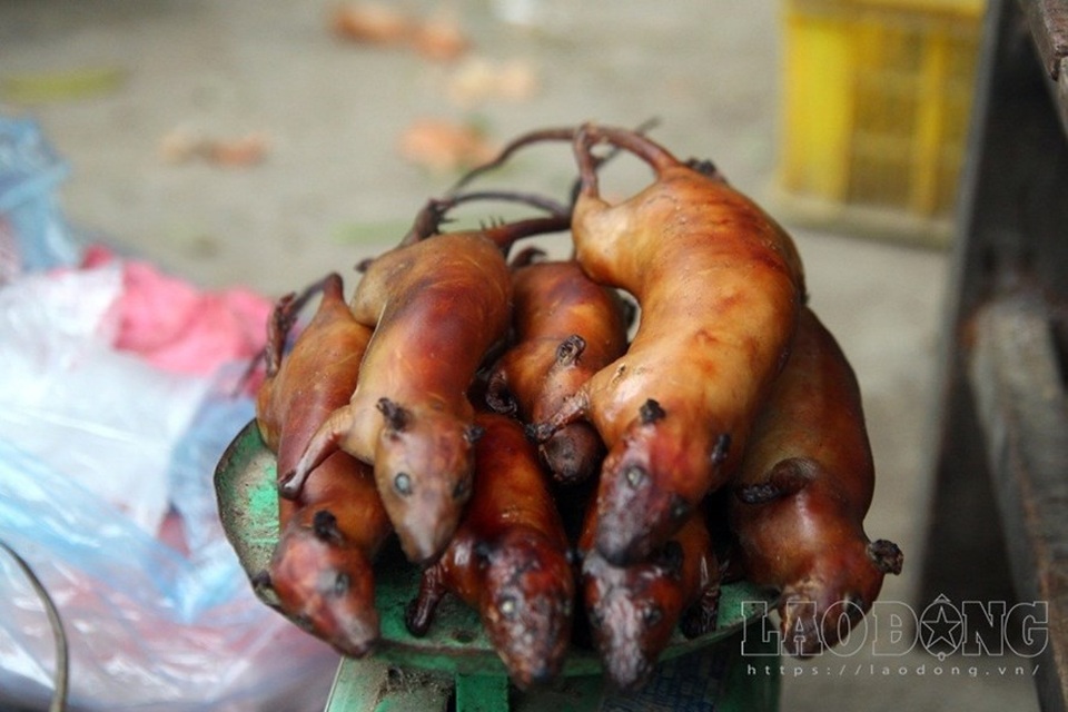 Thịt chuột vào mùa vừa ăn, vừa lo - 1 Thịt chuột vào mùa vừa ăn, vừa lo - 1