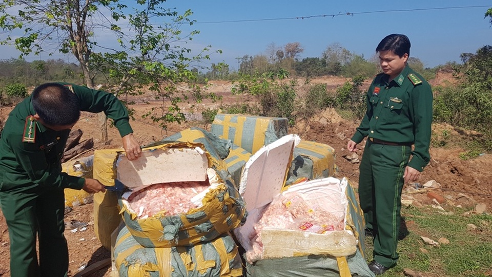 Quảng Trị: Tiêu hủy hơn 700 kg thịt gia cầm không rõ nguồn gốc - 1 Hàng trăm kg thịt gia cầm không rõ nguồn gốc bị lực lượng chức năng phát hiện (Ảnh: Mạnh Hùng)