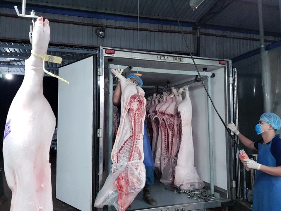 Sản lượng thịt heo VIETGAHP tại MM Mega Market tăng lên hơn 250 tấn/tháng - 2 Các sản phẩm thịt heo tại các trung tâm MM được vận chuyển bằng xe tải chuyên dụng đảm bảo nhiệt độ trong khoảng từ 2-4 độ C.