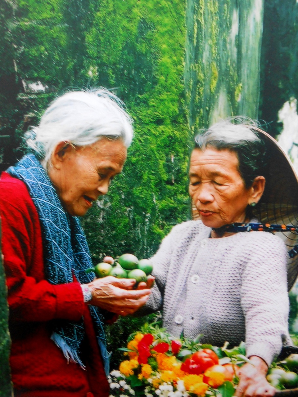 Thơm thảo tình quê - Đặng Kế Đông