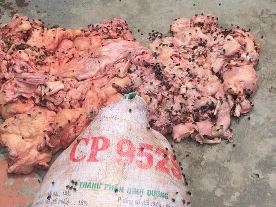 Liên tiếp bắt giữ hàng tấn thực phẩm bẩn sắp được đưa đi tiêu thụ - 1