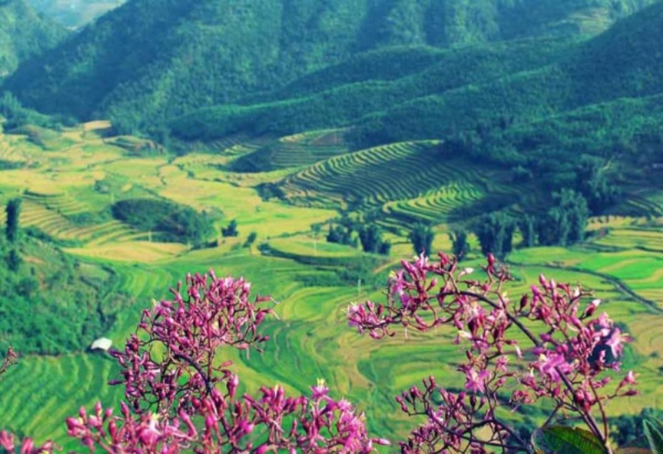 7 thung lũng đẹp như tranh ở Việt Nam - 2 7 thung lũng đẹp như tranh ở Việt Nam - 2