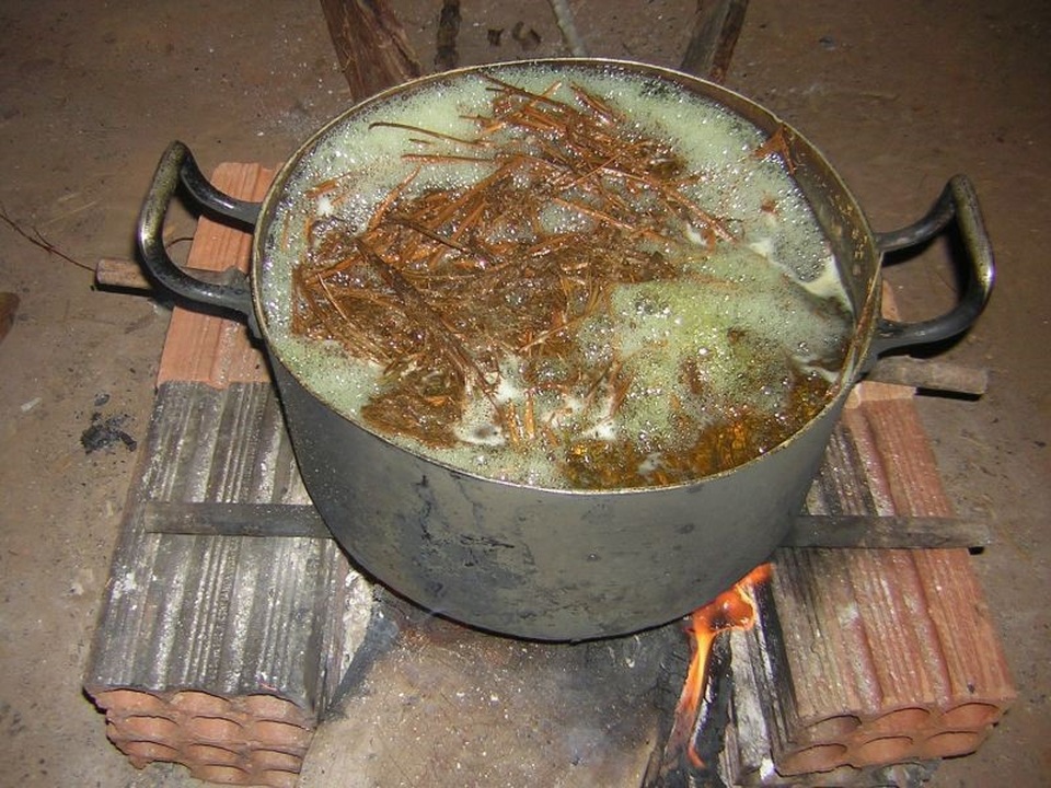 Loại thuốc gây ảo giác mới có thể làm dịu triệu chứng trầm cảm và nghiện rượu? - 1 Loại thuốc gây ảo giác mới có thể làm dịu triệu chứng trầm cảm và nghiện rượu? - 1