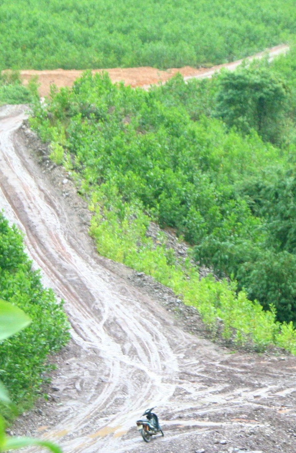 Thủy điện “chặn” đường lên rẫy của dân - 1 Đường quá dốc do thủy điện Thượng Nhật San ủi dường nên bà con miền núi không vào được rẫy canh tác