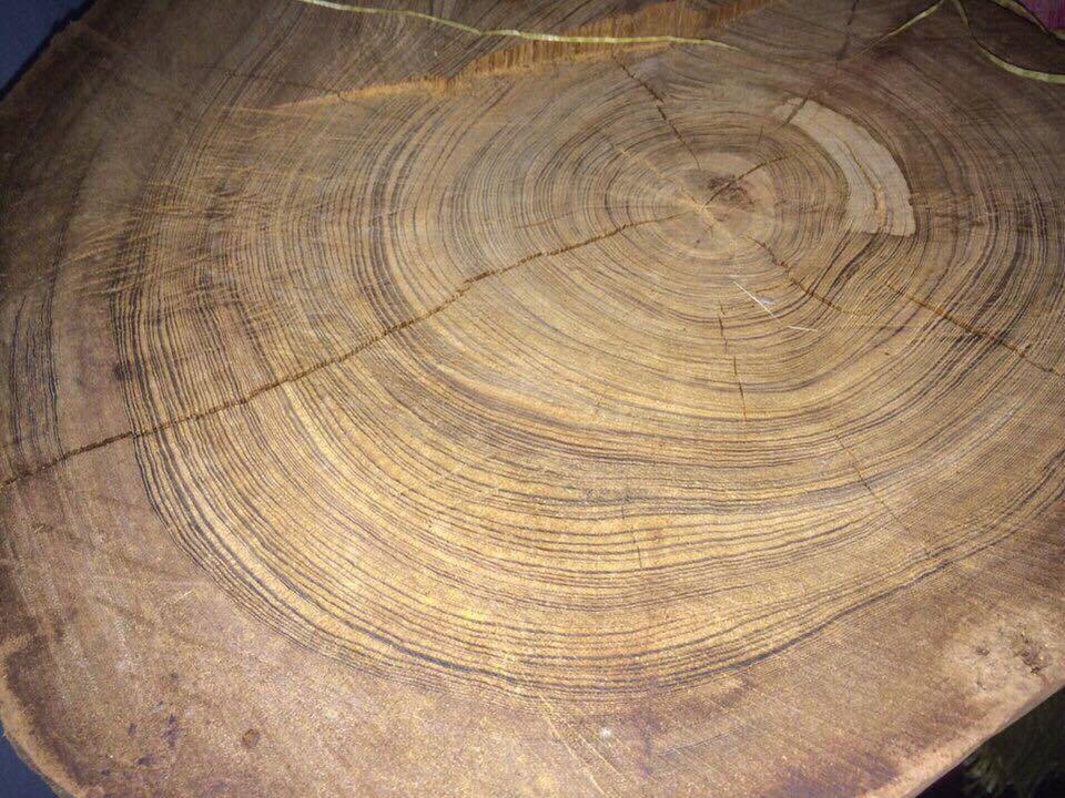 Giá "trên trời", nhưng gỗ, sản phẩm gỗ từ cây thủy tùng 70% là hàng giả - 2 Vân gỗ thủy tùng