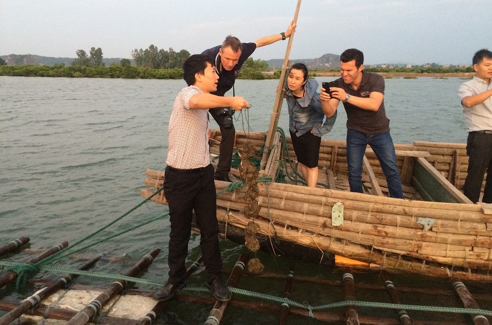 Tiến sỹ 8X và những trăn trở với ngành Nuôi trồng Thủy sản - 3
Tiến sỹ Đặng Toàn Vinh trao đổi hợp tác cùng đoàn chuyên gia từ Úc (TS. Michael Dove và TS. Anthony Zammit) tại khu nuôi hàu của Công ty cổ phần thủy sản Tân An.
