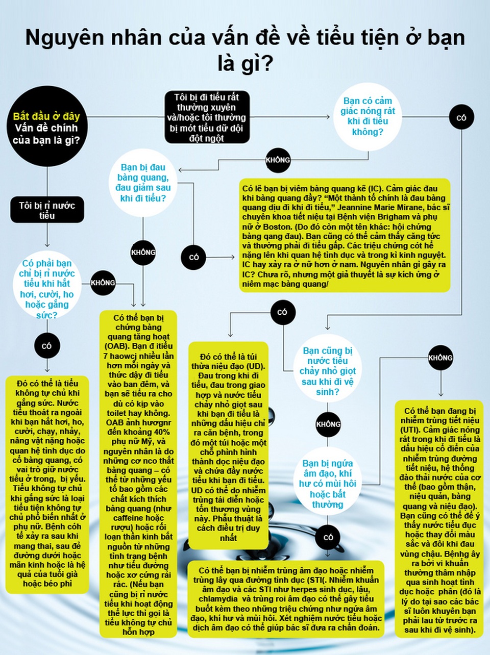 4 rối loạn tiểu tiện thường gặp và cách xử lý - 1