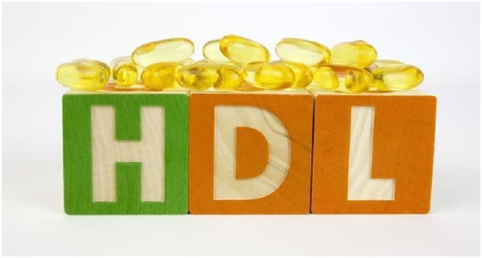 Thiếu cholesterol tốt có thể làm tăng nguy cơ đau tim - 1