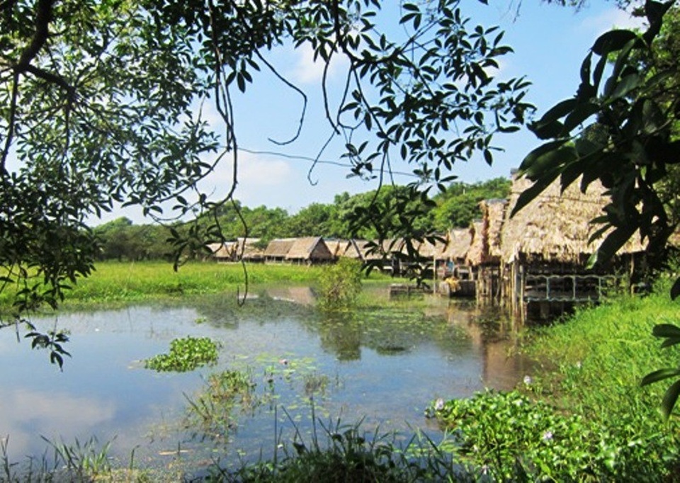 Những điểm du lịch hấp dẫn trên “đất lửa” Quảng Trị - 15 Khu du lịch sinh thái Trằm Trà Lộc (Ảnh: Internet)