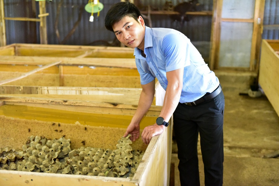 Tận mắt công nghệ nuôi côn trùng "đẻ" ra bạc tỷ giữa Thủ đô - 2 Trung bình mỗi tháng cơ sở anh Kiên xuất ra thị trường khoảng 4 tấn. Với giá bán dao động khoảng 400 nghìn đồng/kg rắn mối; 250 nghìn/kg bọ cạp, 400 nghìn/ kg tắc kè… sau khi trừ các chi phí, anh Kiên thu lãi mỗi tháng khoảng 100 triệu đồng.