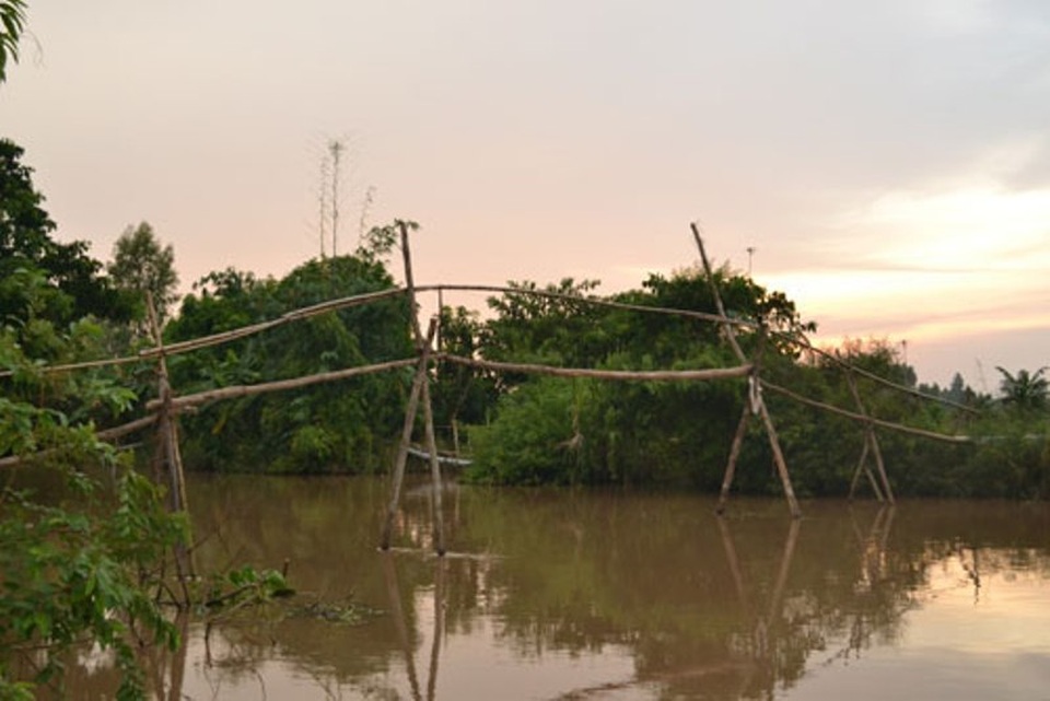 Ngây ngất với những trải nghiệm chỉ có ở miền Tây - 3 Những cây cầu khỉ đặc trưng của vùng sông nước.