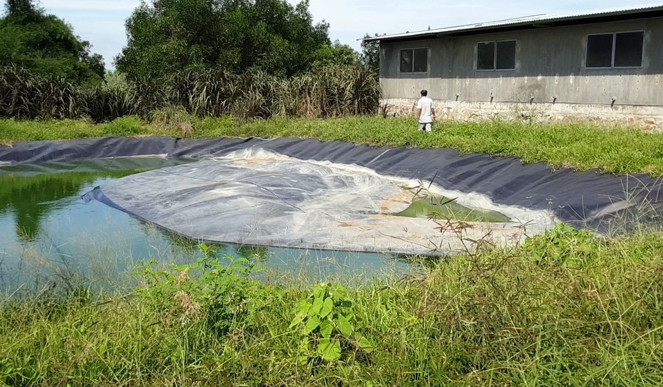 Thầy trò bức xúc vì trại lợn gây ô nhiễm kéo dài - 2
Trại lợn nuôi gần khu dân cư, trường học nhưng công ty không đảm bảo các nguyên tắc xử lý nước thải, mùi hôi.