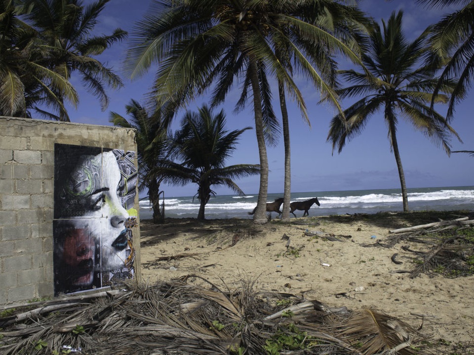 
Rone là nghệ sĩ luôn tìm thấy sức sống mới trong sự hủy diệt. Đó là lý do anh có thể tạo ra những kiệt tác trên những bức tường đổ nát mà nhiều người đã lãng quên.
