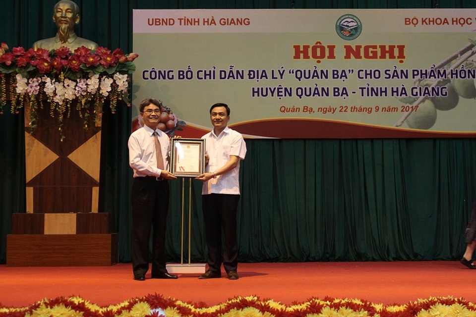 Công bố Chỉ dẫn địa lý Hồng không hạt Quản Bạ - 1
Cục truởng Cục SHTT Đinh Hữu Phí trao Văn bằng chỉ dẫn địa lý Hồng không hạt Quản Bạ cho lãnh đạo UBND Quản Bạ