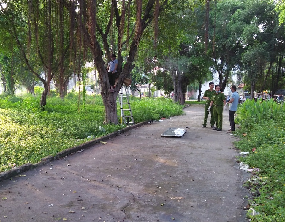 Người đàn ông chết trên cây trong tư thế lạ - 1 Nạn nhân treo cổ nhưng cơ thể vẫn còn tựa vào thân cây rất bất thường