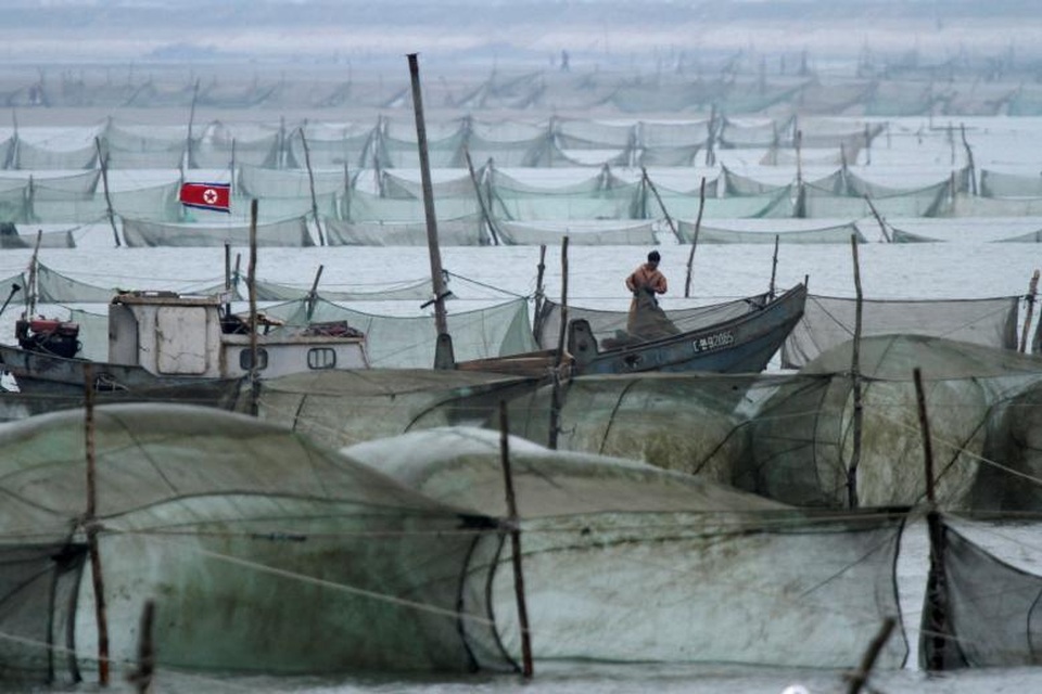 Góc nhìn đa chiều về nền kinh tế Triều Tiên - 2 Nghị quyết mới của Liên Hợp Quốc cũng cấm các nước tăng số lao động Triều Tiên đang làm việc ở nước ngoài, cấm các liên doanh mới với Triều Tiên cũng như những hoạt động đầu tư mới trong các liên doanh hiện tại. Biện pháp này được cho là sẽ ảnh hưởng trực tiếp tới lượng tiền do lao động Triều Tiên chuyển từ nước ngoài về nước và tác động tới nền kinh tế nước này. Trong ảnh: Ngư dân Triều Tiên đánh bắt cá trên sông Yalu ở khu vực Sinuiju giáp biên giới với Trung Quốc.