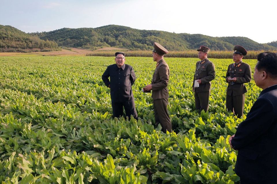 Ông Kim Jong-un tươi cười thăm nông trại giữa lúc căng thẳng - 4 Theo KCNA, Phó Bí thư đảng Lao động Triều Tiên, cũng tham gia cùng chuyến đi tới nông trại số 1116 của nhà lãnh đạo Kim Jong-un.