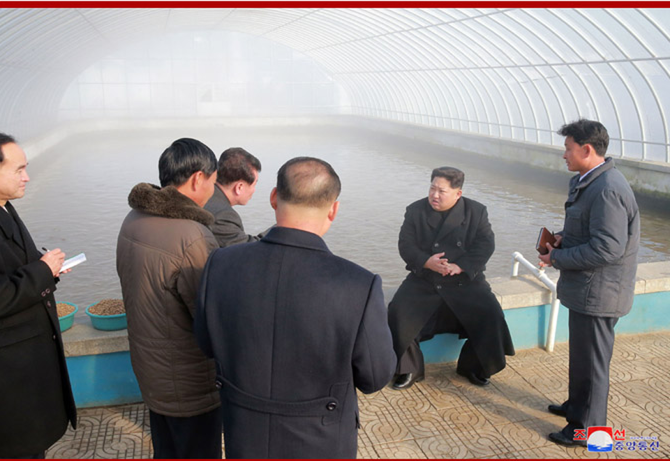 Ông Kim Jong-un thăm trang trại giữa nghi vấn “im lặng” bất thường - 6 Chuyến đi tới trang trại Sunchon của nhà lãnh đạo Kim Jong-un diễn ra trong bối cảnh cộng đồng quốc tế đang đặt ra nhiều nghi vấn về sự im lặng bất thường của Triều Tiên trong những tháng gần đây. Trong vòng 70 ngày qua, Bình Nhưỡng không tiến hành bất kỳ vụ thử hạt nhân hoặc tên lửa nào.