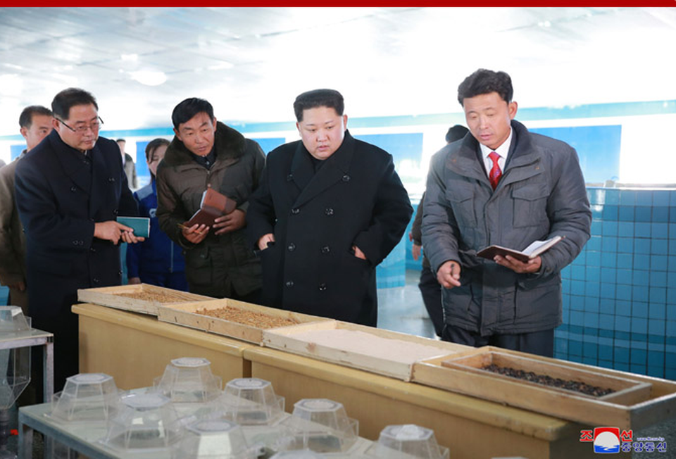 Ông Kim Jong-un thăm trang trại giữa nghi vấn “im lặng” bất thường - 8 Hồi đầu tháng, ông Kim Jong-un đã thị sát nhà máy xe tải Kumsong và tuyên bố sẽ đưa ngành công nghiệp ô tô Triều Tiên phát triển ngang tầm thế giới. Trong khi đó, Tổng thống Mỹ Donald Trump tháng này cũng quyết định đưa Triều Tiên trở lại danh sách các quốc gia bảo trợ khủng bố nhằm tăng cường trừng phạt Bình Nhưỡng.