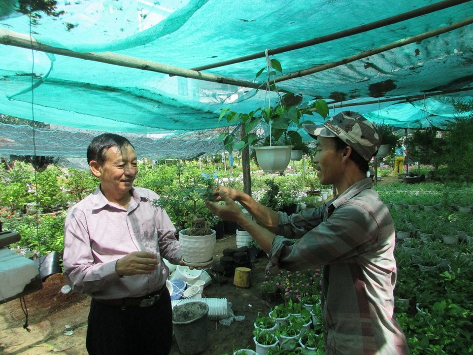 Vườn hoa của anh cho thu nhập mỗi tháng 20 triệu đồng