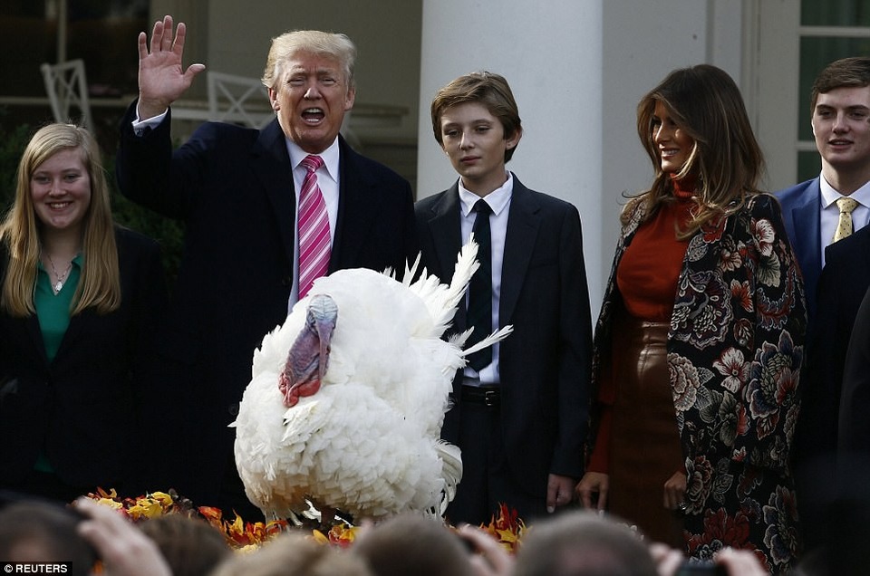 Tổng thống Trump lần đầu “tha bổng” gà tây ở Nhà Trắng - 1
Ngày 21/11, Nhà Trắng đã tổ chức hoạt động kỉ niệm ngày Lễ Tạ Ơn với sự tham gia của gia đình Tổng thống Mỹ Donald Trump cùng các quan khách. Trong bài phát biểu 10 phút, ông Trump đã giới thiệu rằng xá tội cho gà tây là truyền thống kéo dài 70 năm từ thời cựu Tổng thống Harry S. Truman, người nắm quyền từ 1945-1953. (Ảnh: Reuters)