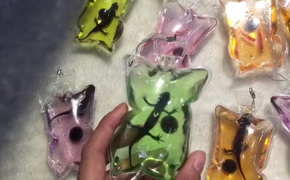 Tại thành phố Hạ Môn, Trung Quốc, có bày bán một loại móc khóa rất đặc biệt. Bên trong chứa những động vật còn tươi sống như thằn lằn hay cá cảnh. Chúng bị đặt trong túi nilon kín mít, chứa oxy hóa và chút thức ăn. Chủ cửa hàng cho biết, những sinh vật này có thể sống tới 3 tháng mà không cần ăn. Trên thực tế, chúng sẽ chết chỉ sau vài tuần vì thiếu thức ăn và oxy. Loại móc chìa khóa này gặp nhiều ý kiến phản đối từ những nhà bảo vệ động vật.