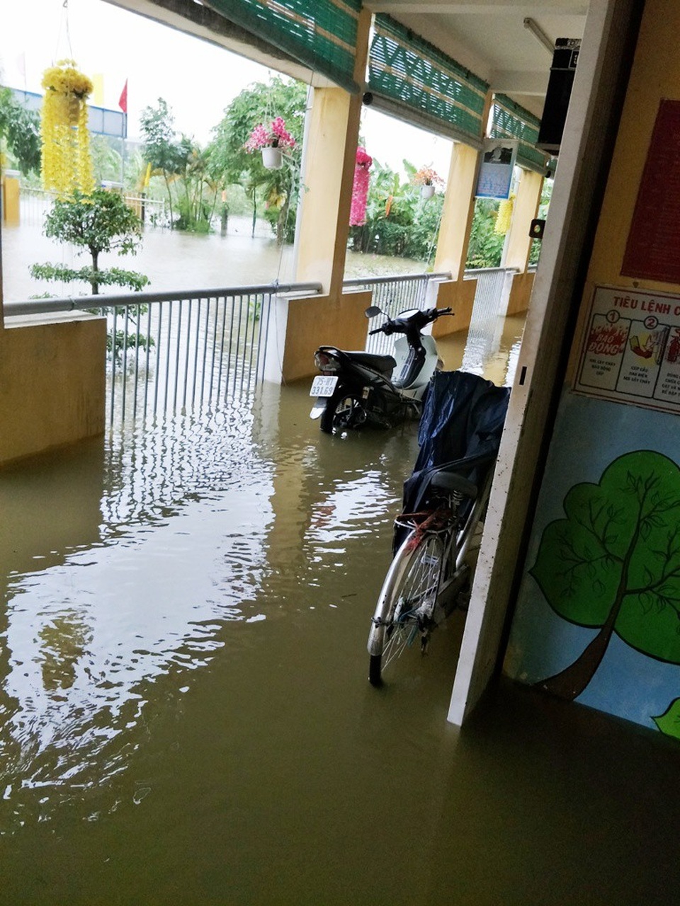 Trường học Huế tất bật dọn lũ, còn 40% trường vẫn ngập lụt - 12 Xe của thầy cô giáo trong nước lũ