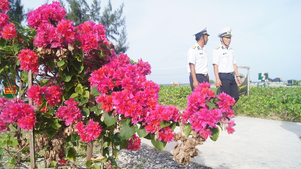 Trường Sa rộn rã đón Tết sớm - 3 Cây cảnh, hoa lá giúp Trường Sa thêm sắc xuân
