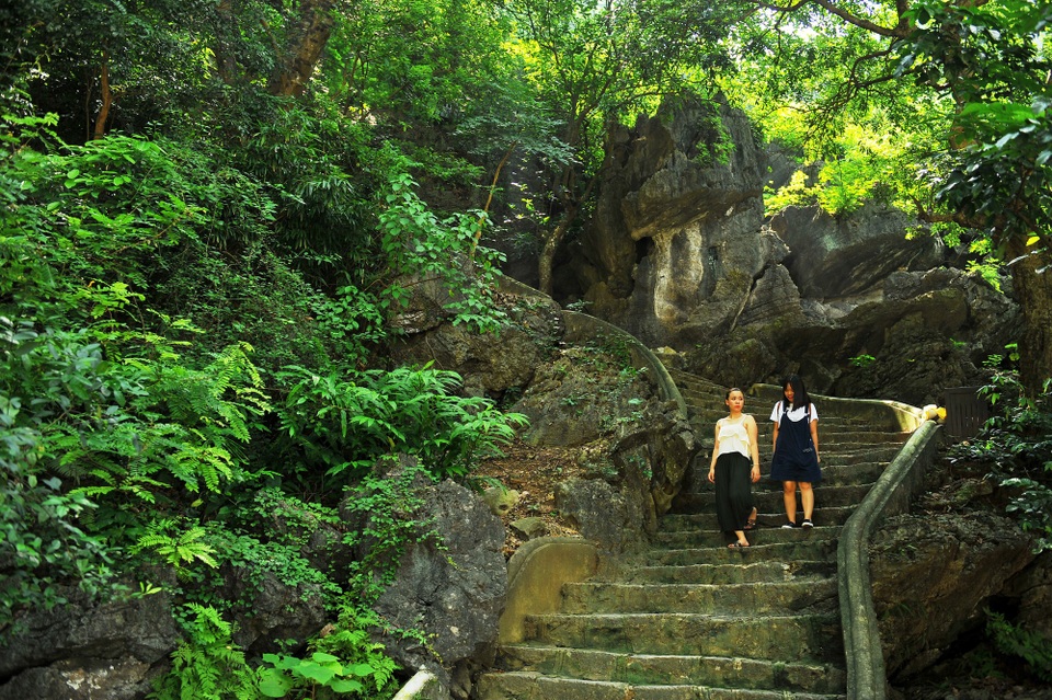 Đường lên chùa động Am Tiên cũng được làm bằng những bậc đá, khi đi lên chùa động phải vượt qua hàng trăm bậc, xung quanh những bậc đá này là những phiến đá to nằm dọc hai bên đường và những cây cổ thụ phủ đầy bóng mát. Tuyệt tình cố ở Ninh Bình đang là điểm đến hấp dẫn thời gian qua đối với nhiều các bạn trẻ.
