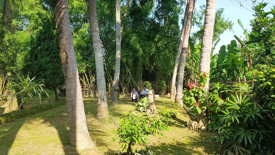 Cận cảnh vẻ đẹp khu nhà vườn Phủ Công chúa Ngọc Sơn - 11 Vườn dừa và nhiều cây ăn trái của Phủ