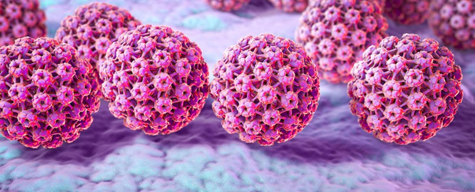 Ung thư cổ tử cung - Những điều bạn chưa biết - 1 Vi rút HPV (human papillomavirus) là nguyên nhân chính dẫn đến ung thư cổ tử cung và các bệnh liên quan. (Ảnh minh họa)