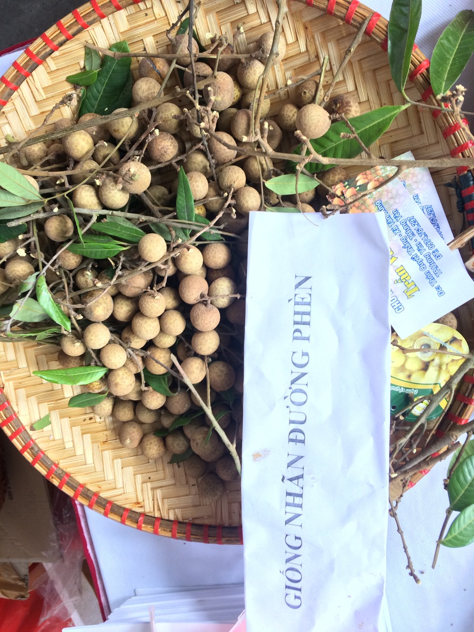 Hưng Yên dự thu khoảng 900 tỷ đồng từ vụ nhãn 2017 - 2 Nhãn đường phèn nhỏ nhưng ngọt, mọng nước
