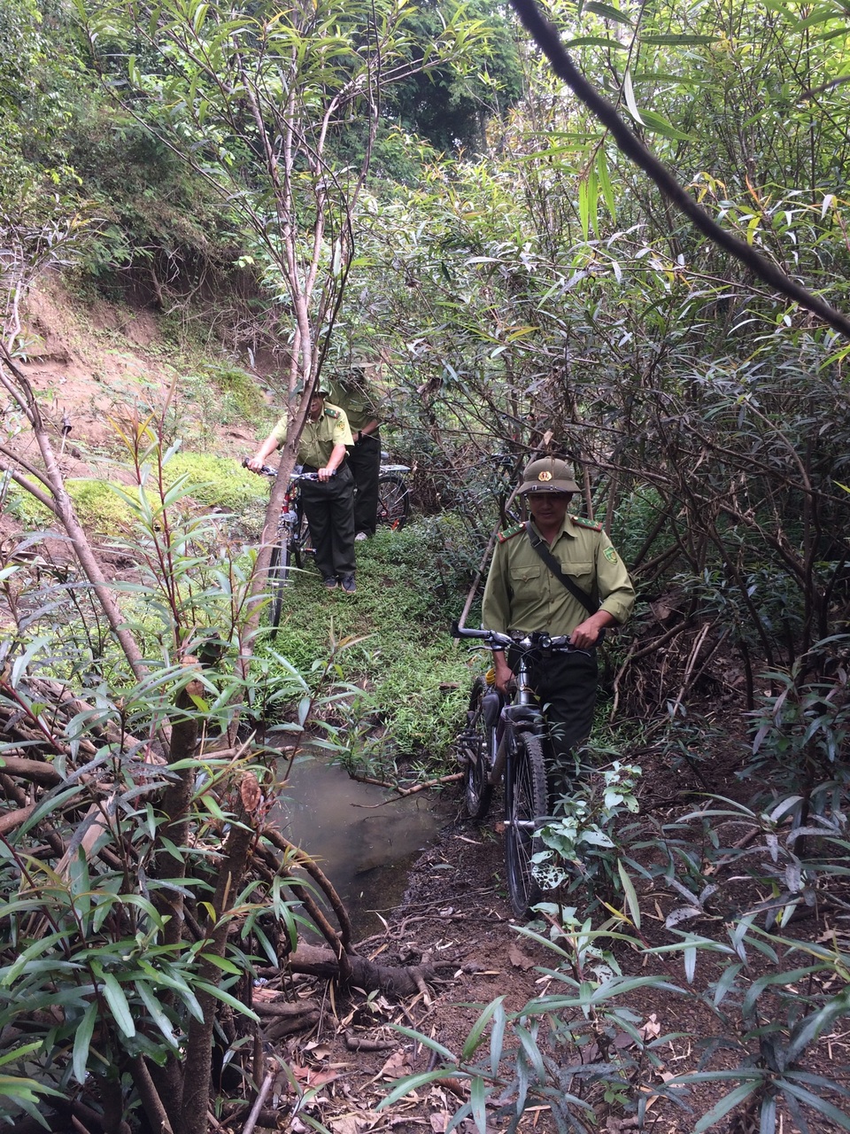 
Song hành với việc tuần tra rừng, cán bộ sẽ giám sát sự đa dạng sinh học trong rừng (ảnh Vương Quốc)
