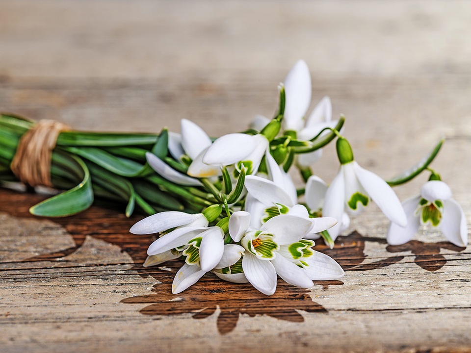 Thế giới đón ngày lễ tình nhân Valentine như thế nào? - 5 Thế giới đón ngày lễ tình nhân Valentine như thế nào? - 5