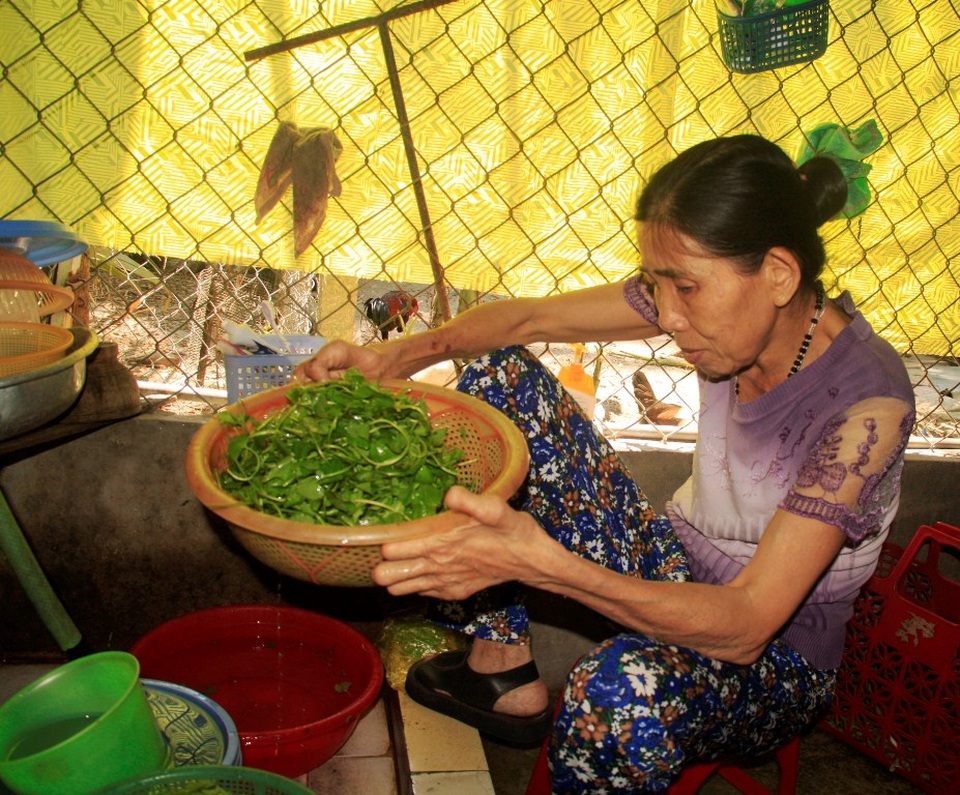 Bình Định: Làng phụ nữ không có ngày 8/3 vẫn hạnh phúc! - 8 Đôi tay bà Hà bị bệnh phong ăn mòn nhưng bà vẫn vượt qua mọi khó khăn chăm lo cho chồng, con