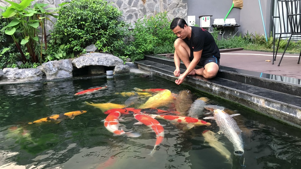 Tận mắt đàn cá Koi bạc tỷ “độc” nhất Việt Nam của đại gia Sài Gòn - 1 Đàn cá Koi bạc tỷ quy tụ những Koi đẳng cấp, có kích thước khủng của đại gia Sài Gòn.