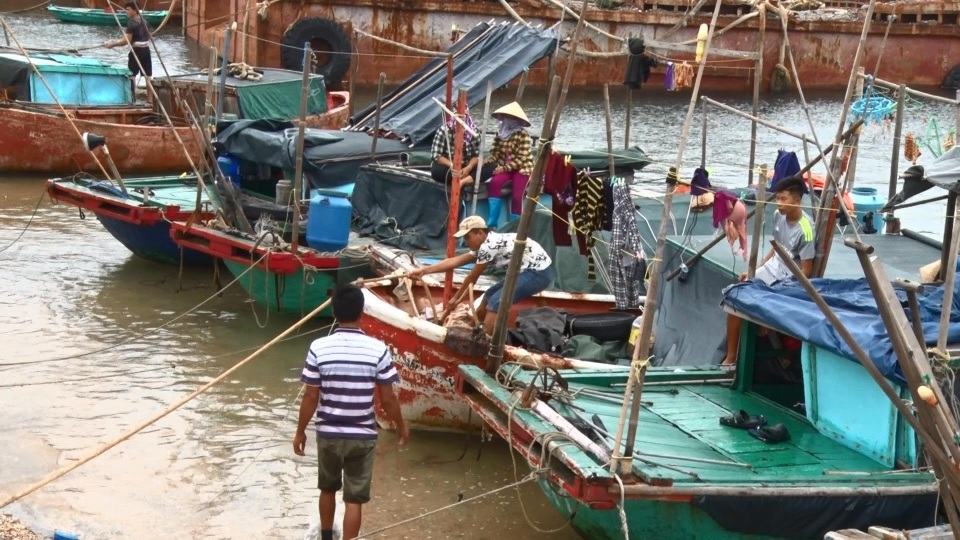 Huyện đảo Bạch Long Vĩ đã hoàn tất công tác phòng chống bão số 10 - 3 Tàu, thuyền đã vào neo đậu tại âu cảng