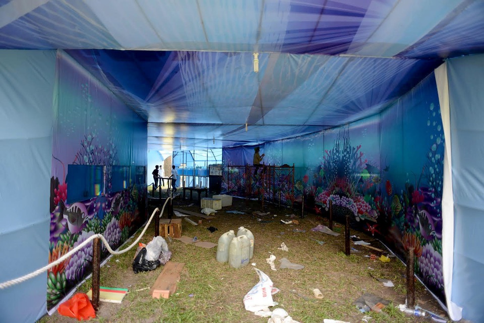 Năm nay, du khách sẽ được tham quan khu vực đặt các loài cá nổi tiếng như cá tiến Vua, cá thần ở Thanh Hóa.