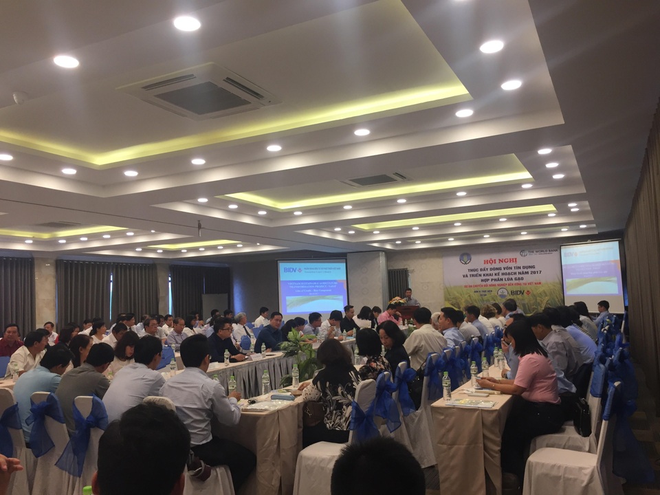 301 triệu USD dành cho lúa gạo và cafe - 1 301 triệu USD dành cho lúa gạo và cafe - 1