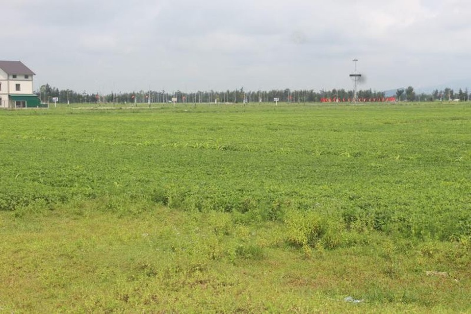 Vụ nộp tiền gần 3 năm không có đất: Huyện yêu cầu làm rõ! - 1 Vùng quy hoạch cấp đất cho cán bộ, công chức, viên chức nhưng hiện tại người dân vẫn canh tác