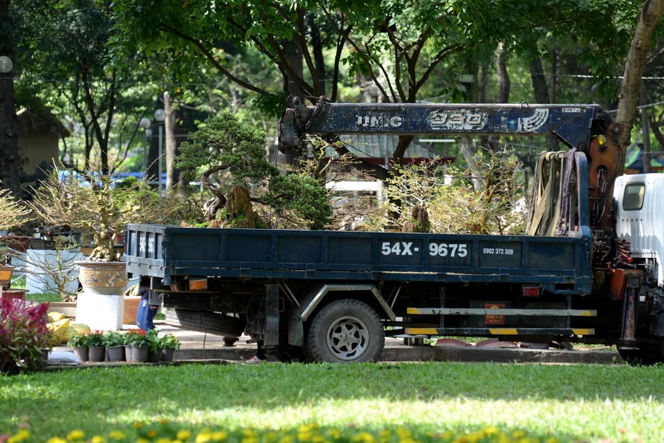 Xe tải chở những cây cảnh cuối cùng vào hội hoa xuân.