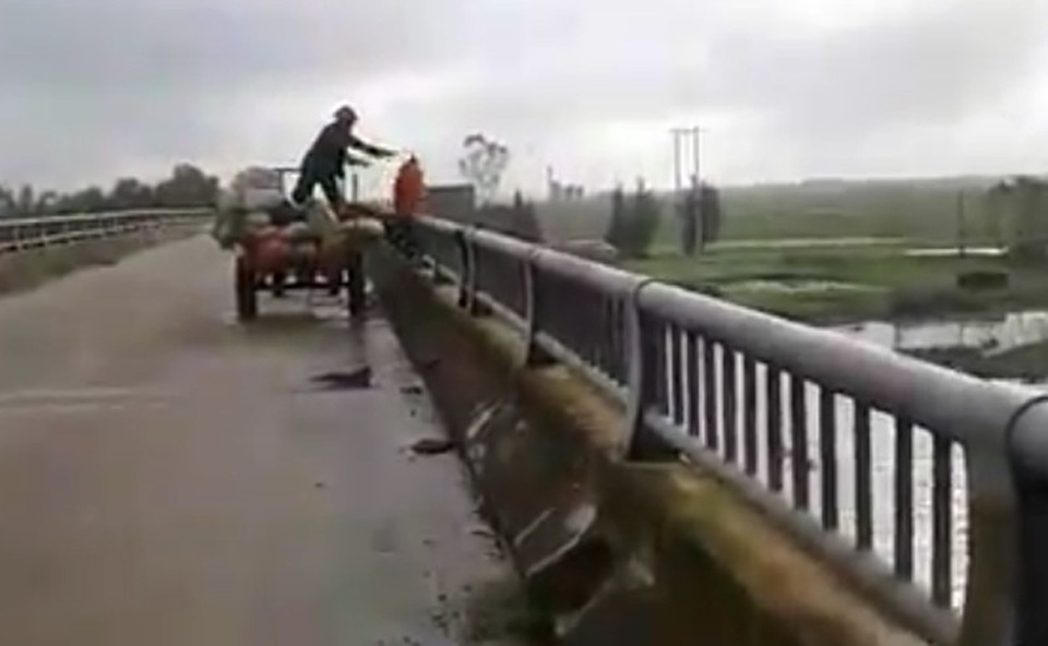 Người đàn ông ngang nhiên ném cả công nông rác xuống sông - 1 Hình ảnh người đàn ông ném rác xuống sông được người dân quay lại (ảnh cắt từ clip).