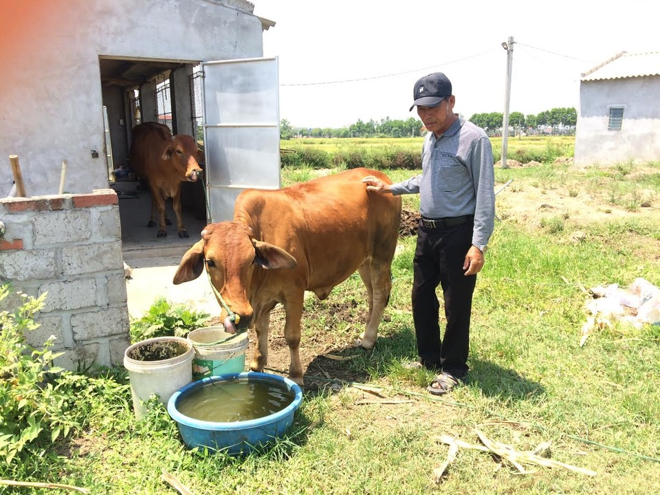 Vốn vay thoát nghèo chưa đủ để thoát nghèo - 3 Ông Phủng tha thiết muốn vay thêm vốn mở rộng quy mô